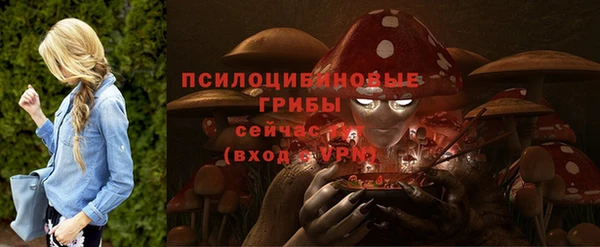 прущие крисы Арсеньев