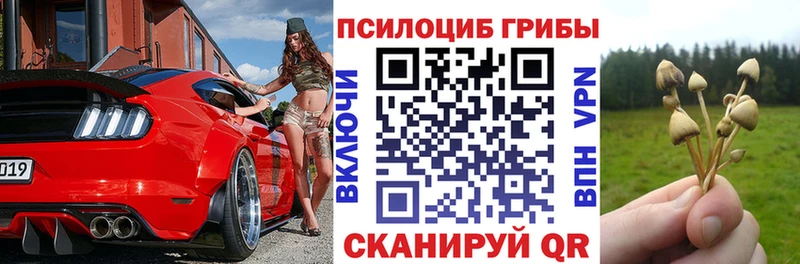 kraken как зайти  Волгоград  Галлюциногенные грибы Psilocybine cubensis 